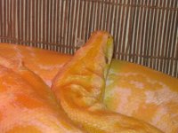 IMG_0817.JPG