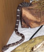 You don't See Me.jpg