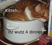 WhatsForDinner.jpg