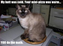 catpizza.JPG