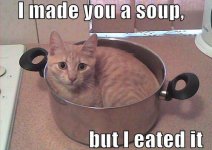 catsoup.JPG