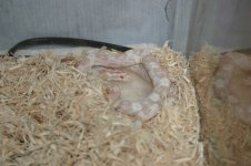 IMG_0117_small.JPG