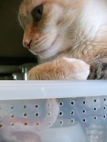 20070814 024a.jpg