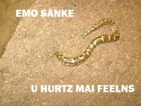 emosanke.jpg