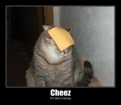 lolcatsdotcom2avt7k6sujb8ajzj.jpg