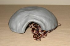 Copy of Hatchling hides 002.jpg silver.jpg