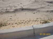 26 footprint2.jpg