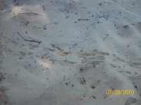 26 footprint3.jpg
