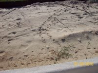 26 footprint.jpg