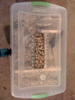 Rat Cage 1.jpg