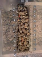 Rat cage 2.jpg