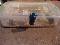 Rat cage 3.jpg