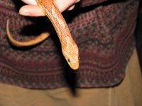 IMG_5661 klein.jpg