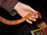 IMG_5663 klein.jpg