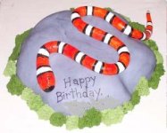 KingSnakeCake_edited.jpg