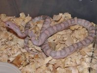 IMG_3575.JPG