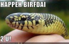 Jewel.jpg