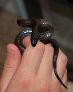 first hold_edited-1.jpg