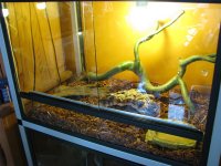 IMG_1564 klein.jpg