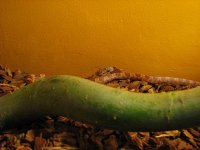 IMG_1568 klein.jpg