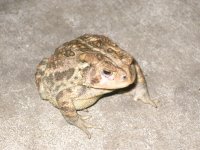 IMG_1408.JPG