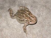 IMG_1409.JPG