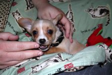 IMG_0456a.JPG