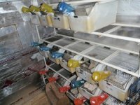 P1040026 cage rack.jpg