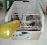 P1040032 cage2.jpg