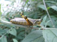 2009_09140015.JPG