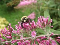 2009_09210003.JPG