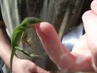 2009_10240052.JPG
