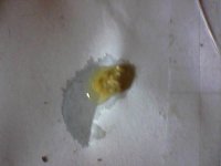 poop.jpg