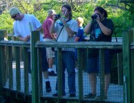 Gatorland 058cr.jpg