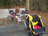 Bike Ride 006_800.jpg