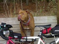 Bike Ride 008_800.jpg