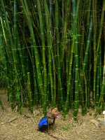 Bella 05_2009 001_800.jpg