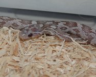 GL Close_edited-1.jpg