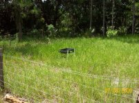 EC deer pen 2.jpg