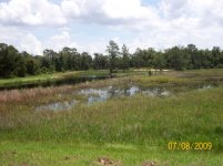 EC Pond.jpg