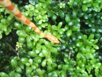 DSC02144.JPG