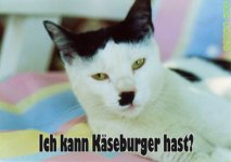 kaeseburger.jpg