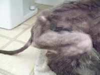 george5.jpg