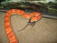 IMG_1456.jpg