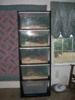 Rack 012_800.jpg
