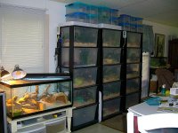 Three Racks 004.jpg