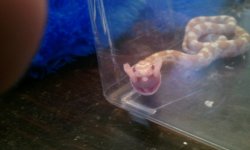 2011-02-08 11.42.07.jpg