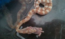 2011-02-08 11.39.35.jpg