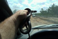 speed racer.jpg