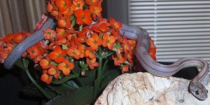 Denny10 090406 U.jpg